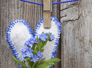 Forget Me Not