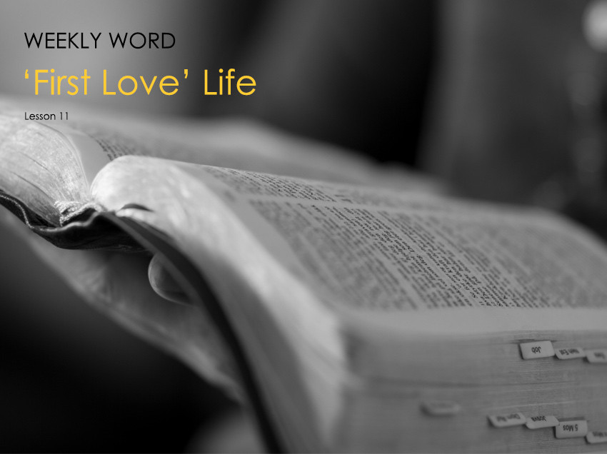 ‘First Love’ Life – Lesson 11