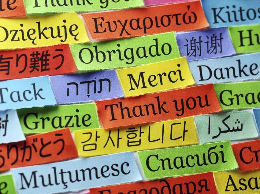 Eleven Ways to Learn a Language