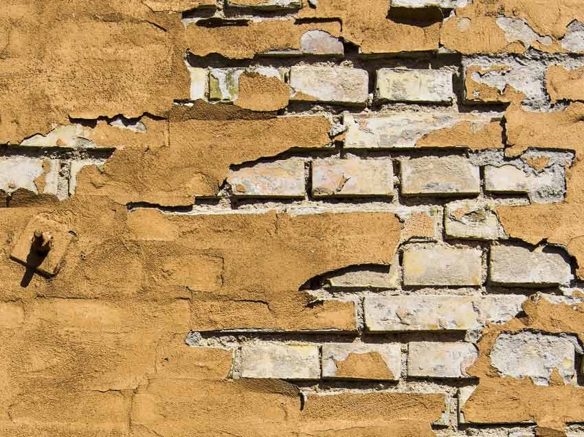 Fear Builds Walls