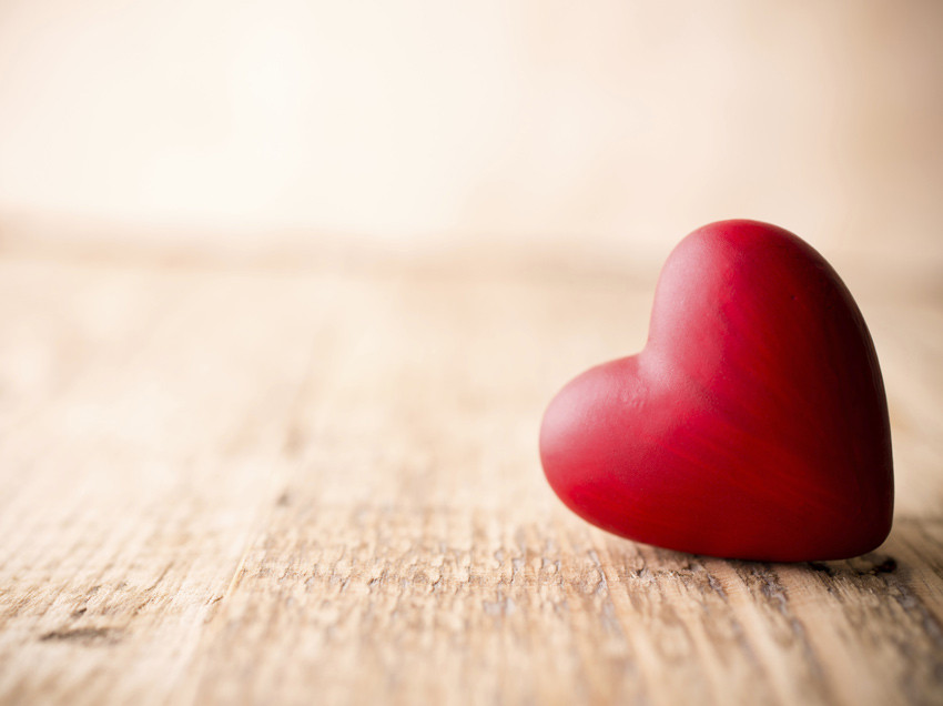 My Heart Loves the One