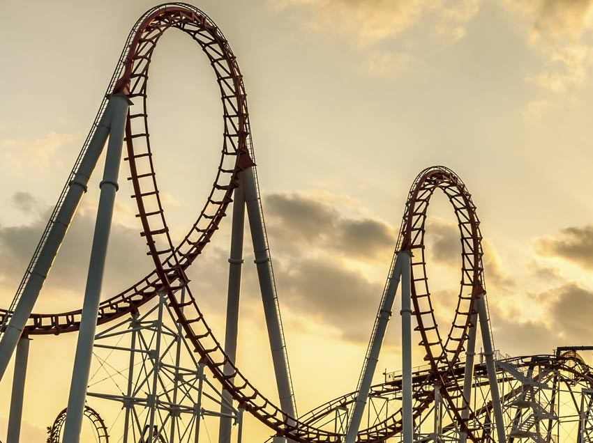 I Survived the First-Term Roller Coaster