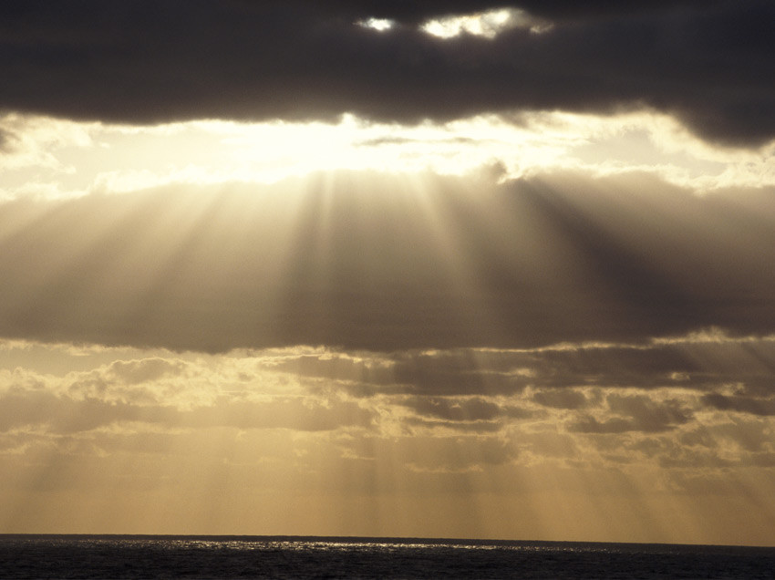 A Light Unto My Path