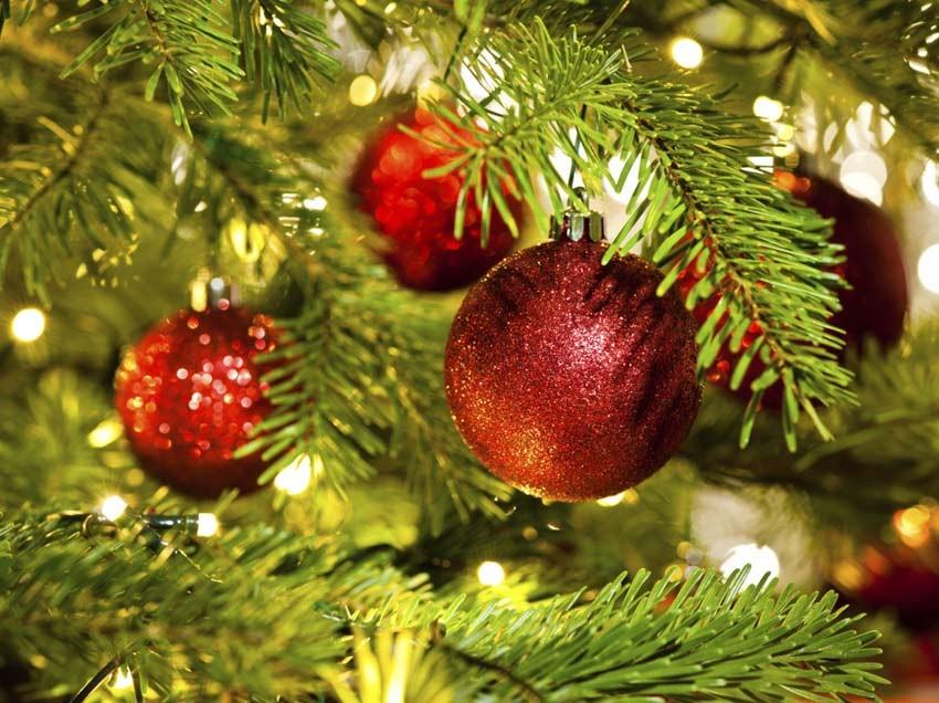 Christmas Without Any Trimmings
