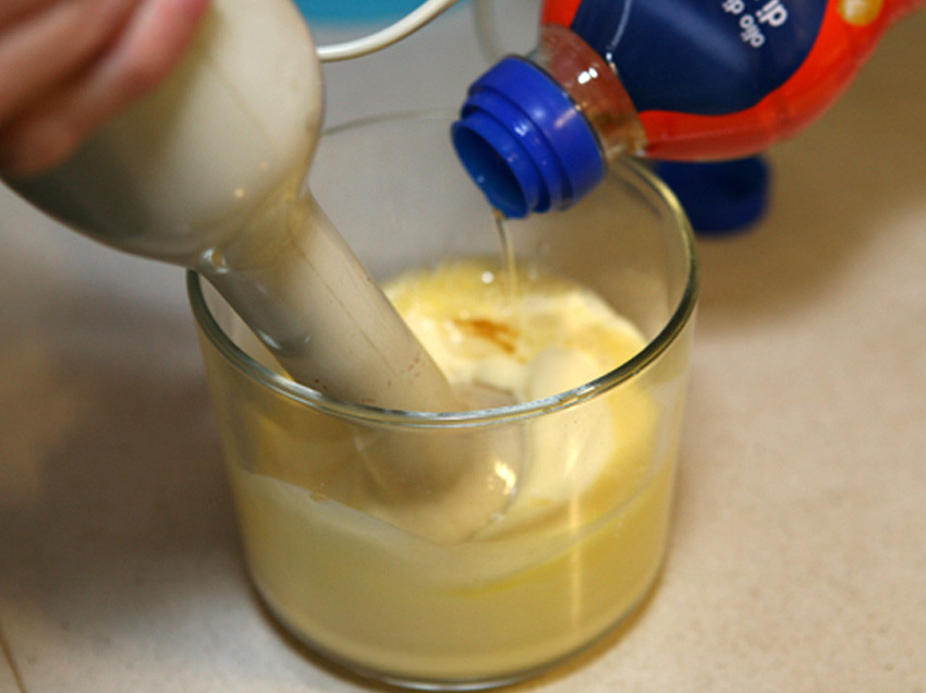 Homemade Mayonnaise