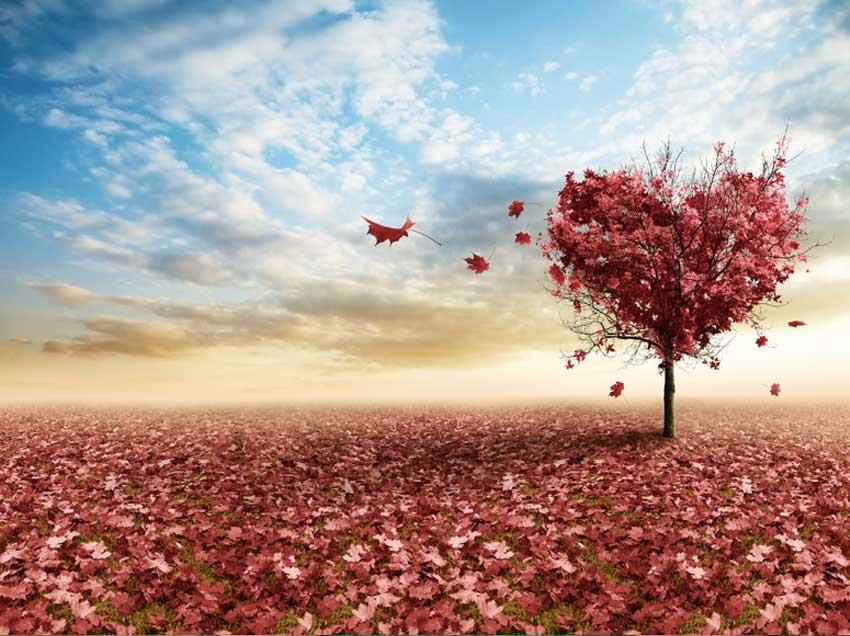 UN-Natural Love