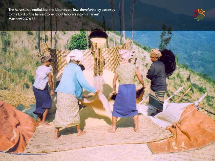 Harvest Laborers