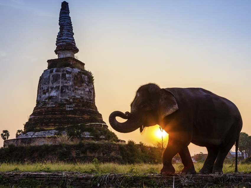 Day 4 | 30 Days of Prayer | Thailand