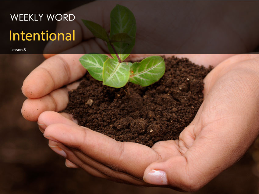 Intentional – Lesson Eight