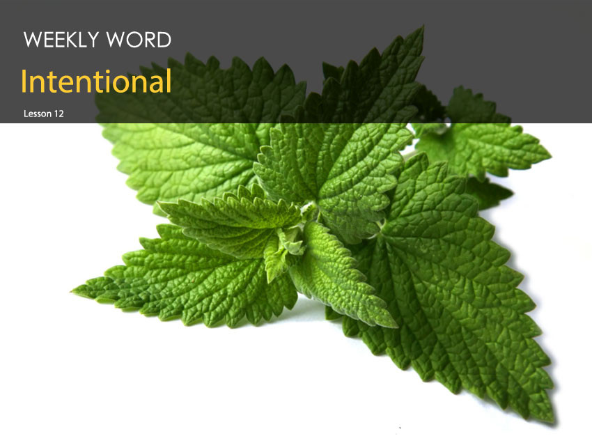 Intentional – Lesson Twelve