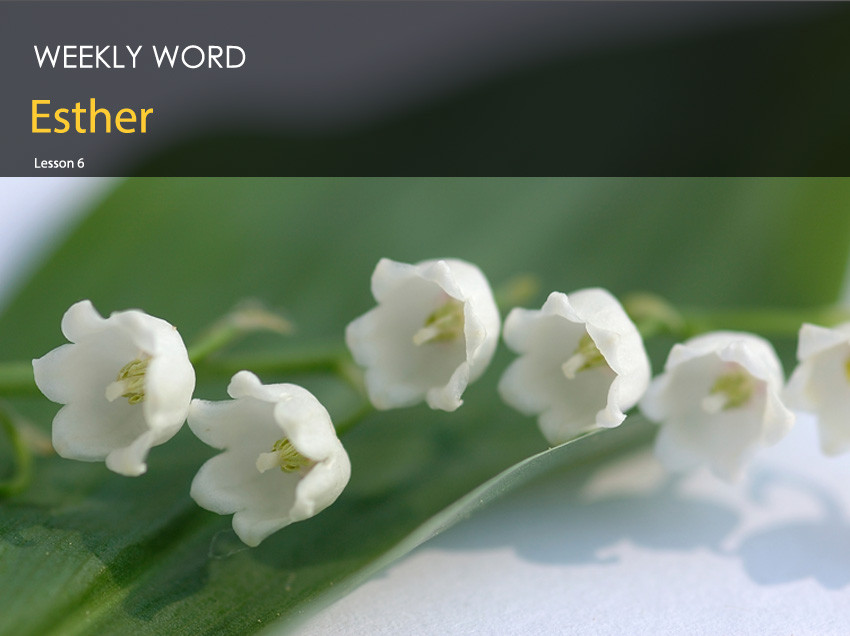 Esther – Lesson Six