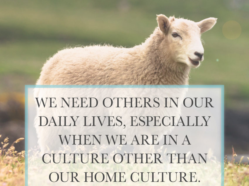 Shepherding Women on the Field